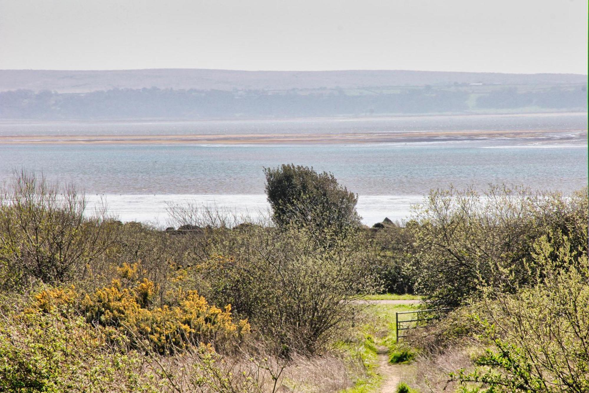 Blue Rose Cottage Burry Port Zimmer foto